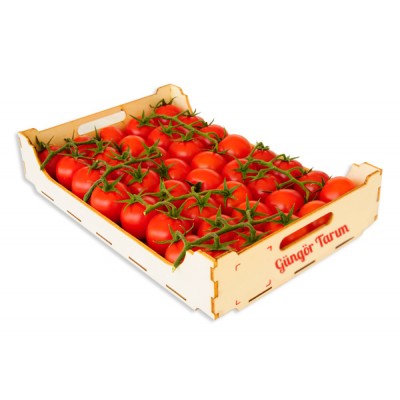 2274 Organik Domates